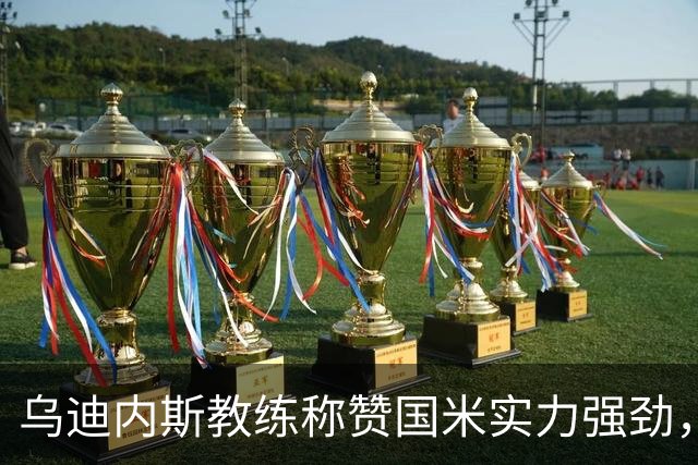 乌迪内斯教练称赞国米实力强劲，强调人员短缺影响